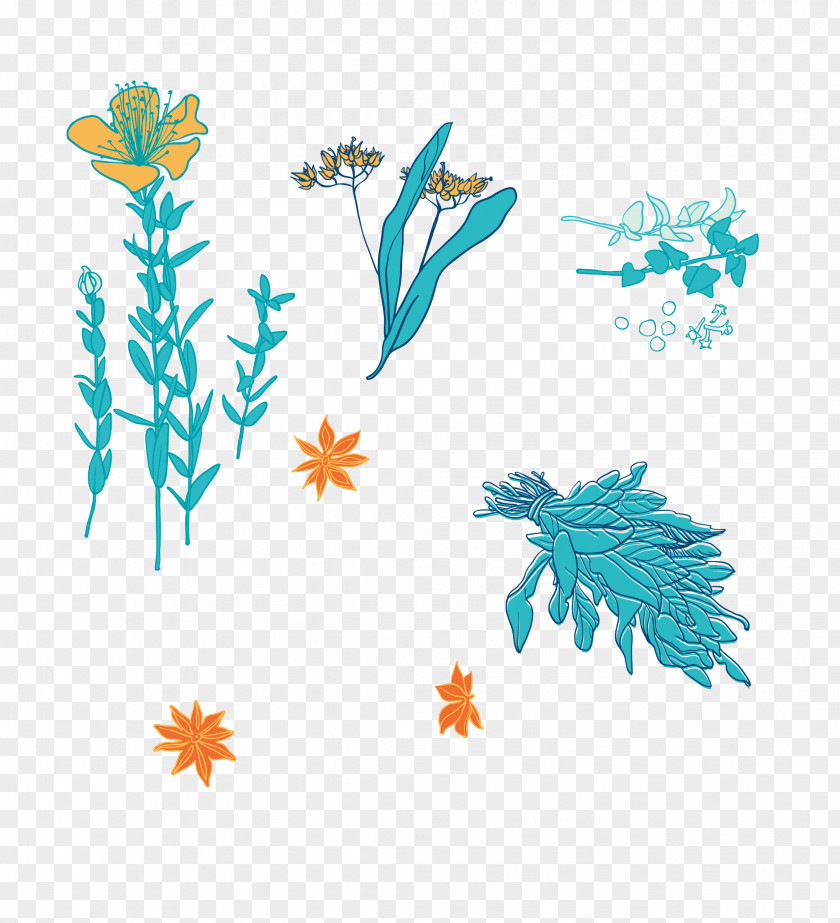 Vector Hand-drawn Variety Of Herbs Chinese Herbology Clip Art PNG