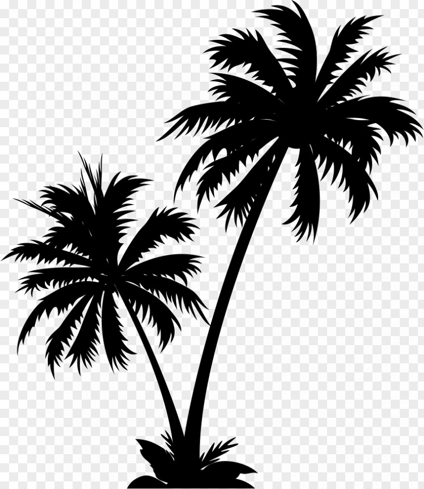 Cameo Pulau Vector Graphics Palm Trees Clip Art Illustration Royalty-free PNG