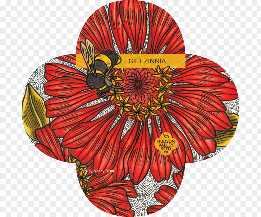 Flower Polar Bear Zinnia Seeds Common PNG