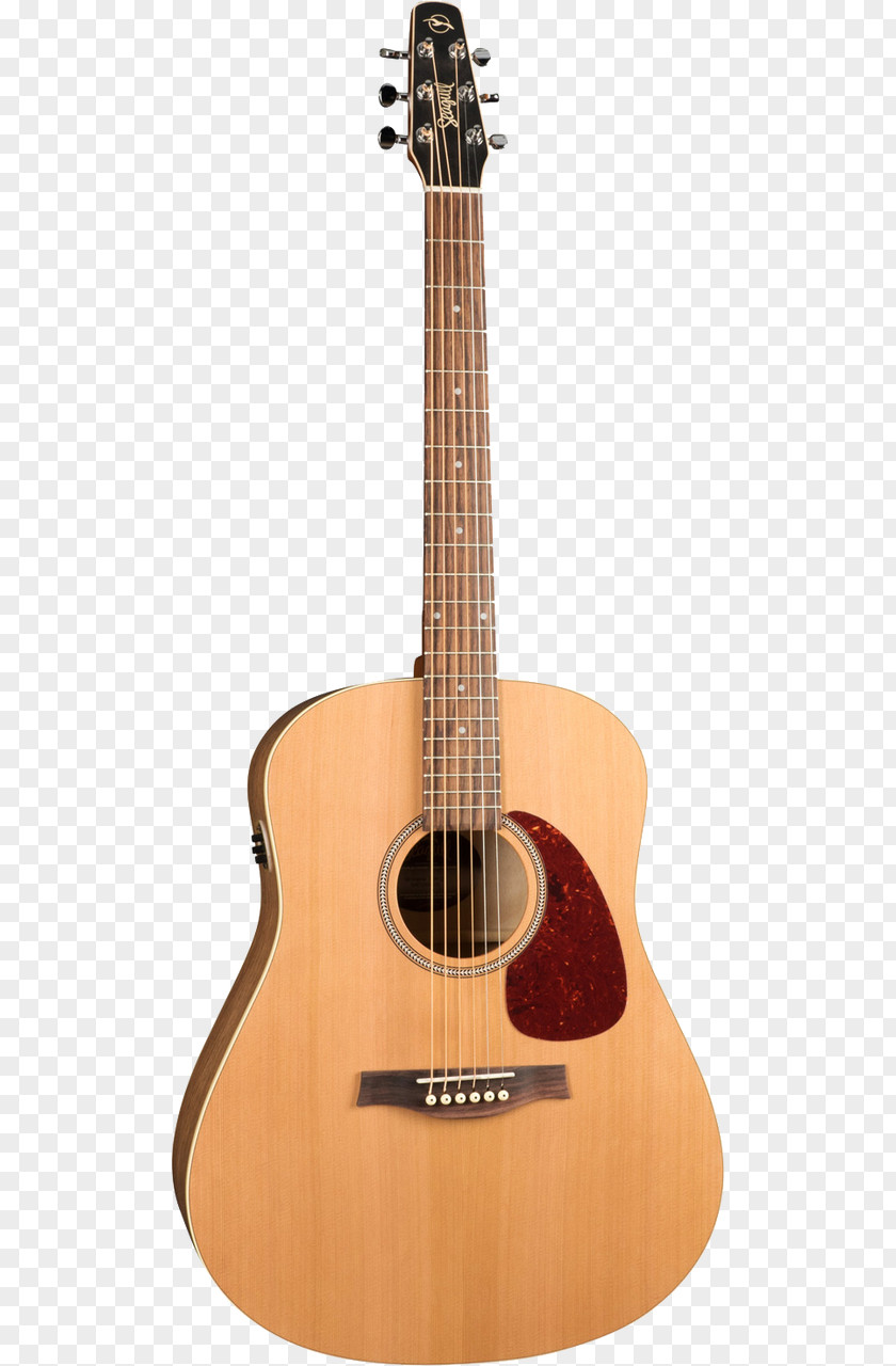 Indie Acoustic Concert Seagull Guitar Acoustic-electric PNG