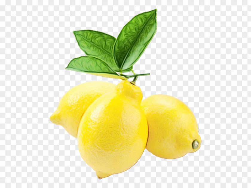 Natural Foods Lemon Fruit Yellow Plant Food Leaf PNG