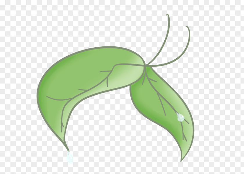 Tea Leaves Butterfly Insect Pollinator Leaf PNG