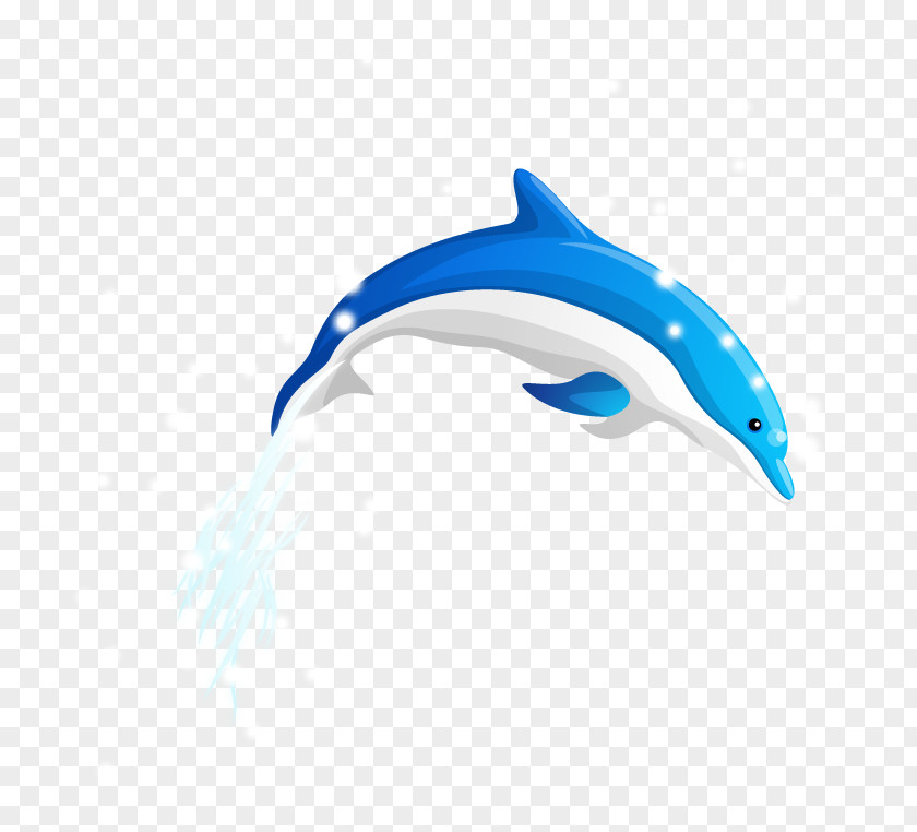 Vector Diving Dolphin Download Wallpaper PNG
