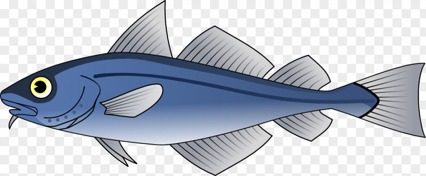 River FISH Cod Fish Boreogadus Saida Clip Art PNG