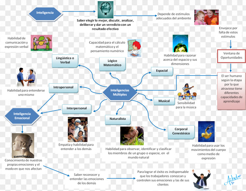 Abstract Material Theory Of Multiple Intelligences Thought Concept Map Mind Skill PNG