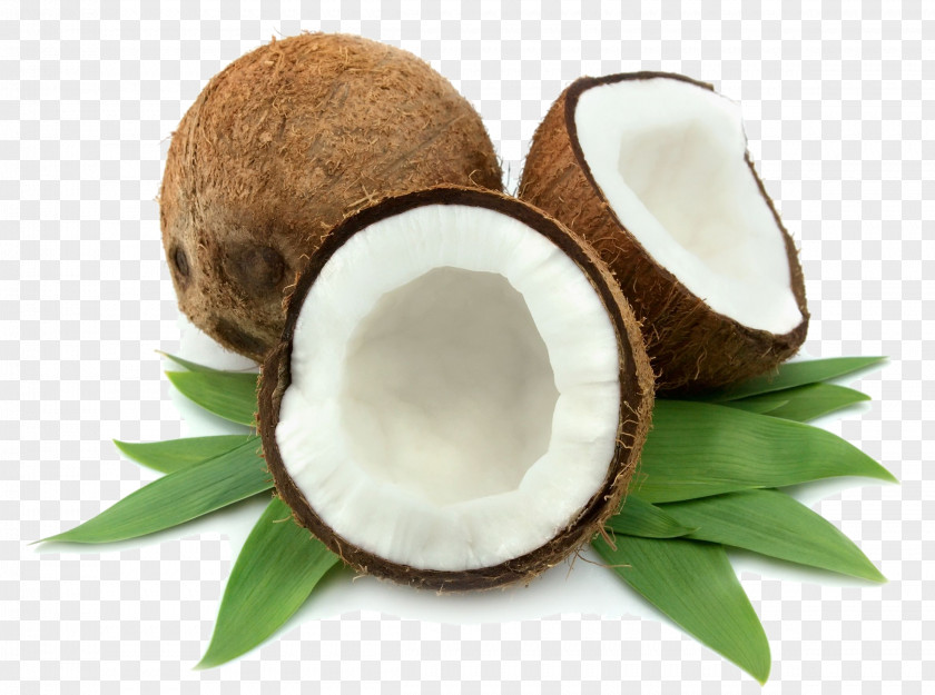 Butter Coconut Water Oil Lotion PNG