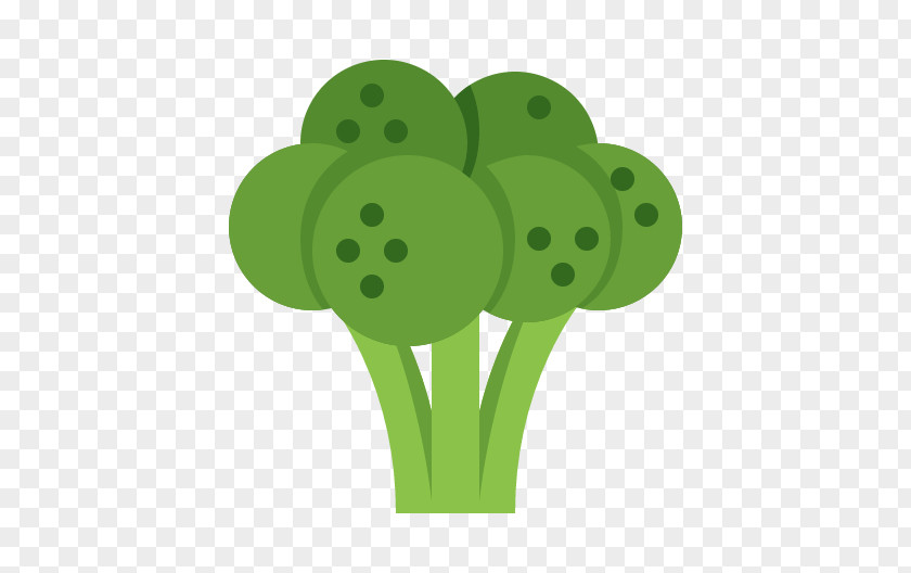 Cauliflower Broccoli Kohlrabi Icon PNG