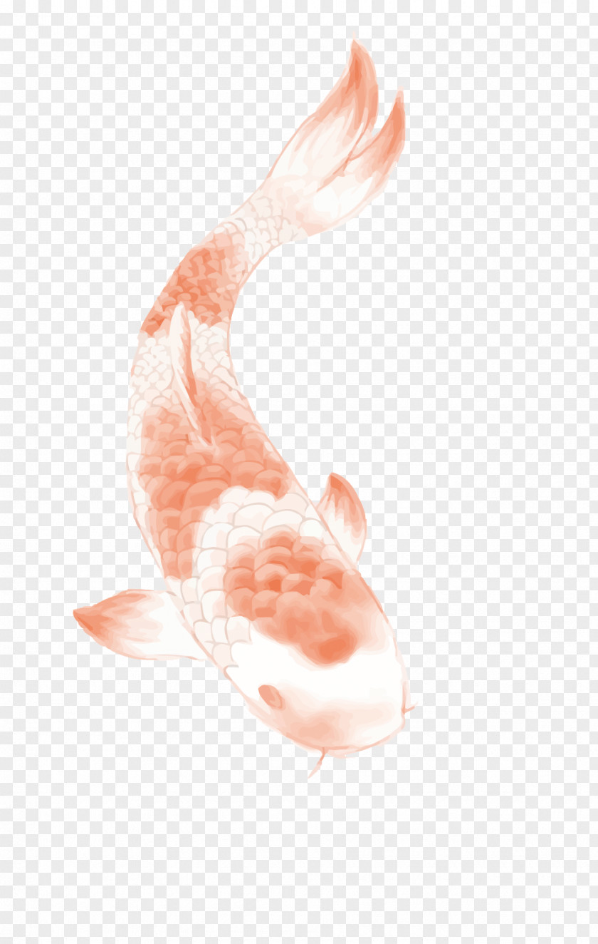 Chinese Wind Carp Butterfly Koi Tattoo PNG