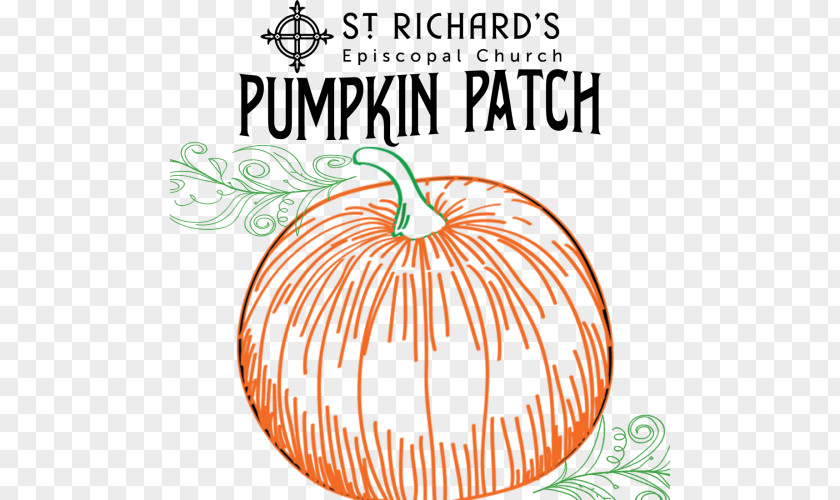 Pumpkin Winter Squash Cucurbita Clip Art PNG