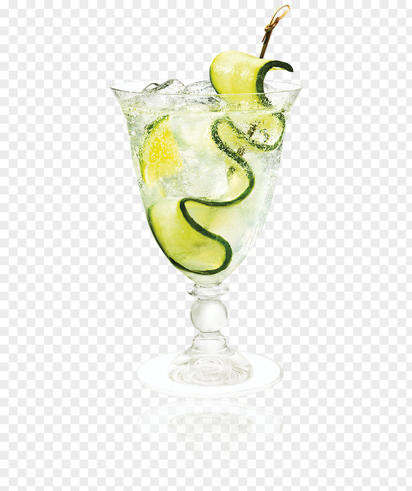 Cucumber Slices And Image Cointreau Cocktail Liqueur Fizz Triple Sec PNG