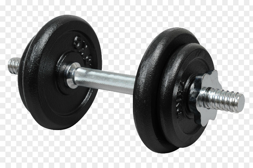 Fitness Barbell Dumbbell Exercise Machine Kettlebell Physical PNG