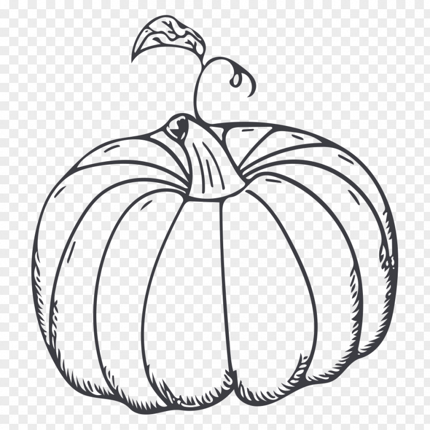 Hand Painted Pumpkin Calabaza Kabocha Vegetable PNG