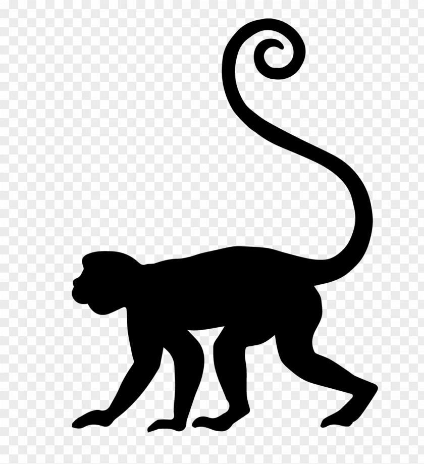MACACO Cat Primate Cercopithecidae Clip Art PNG
