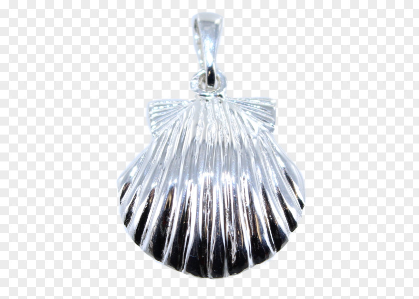 Silver Locket PNG