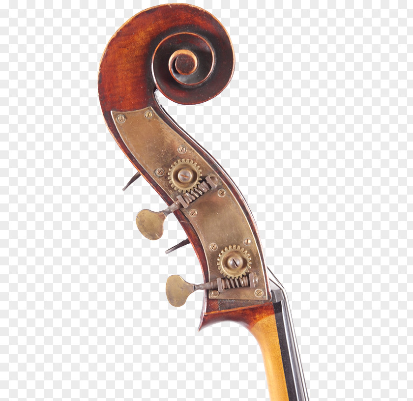 Violin Violone Double Bass Cello Viola PNG