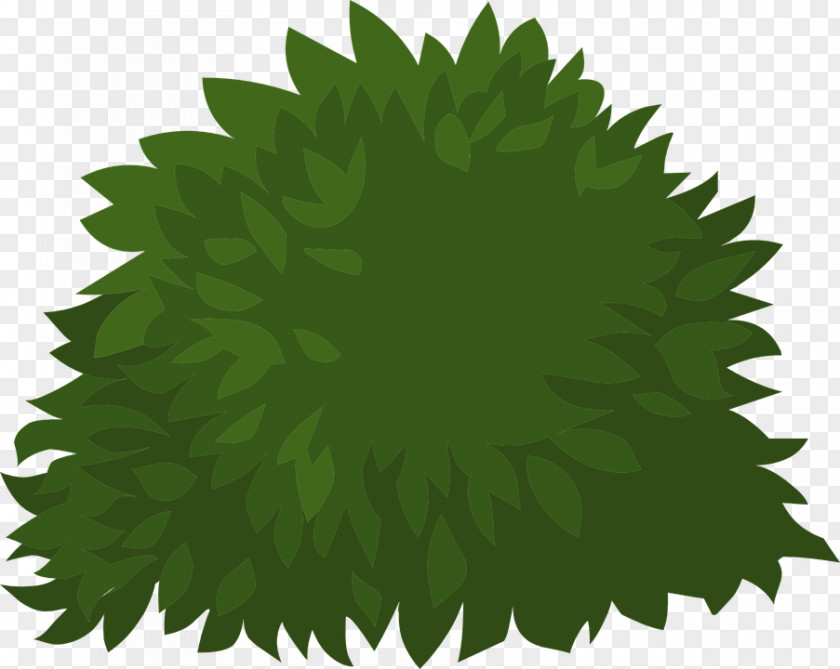 Bush Plant Vector Graphics Clip Art Image Illustration Shrub PNG