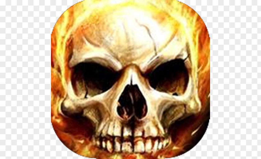 Skull Human Symbolism Desktop Wallpaper Fire Flame PNG