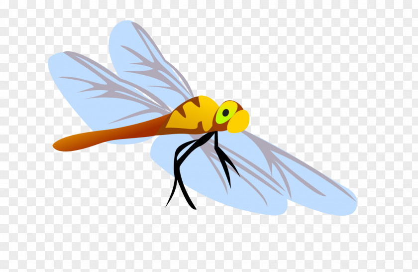 Vector Dragonfly Honey Bee Insect Euclidean PNG