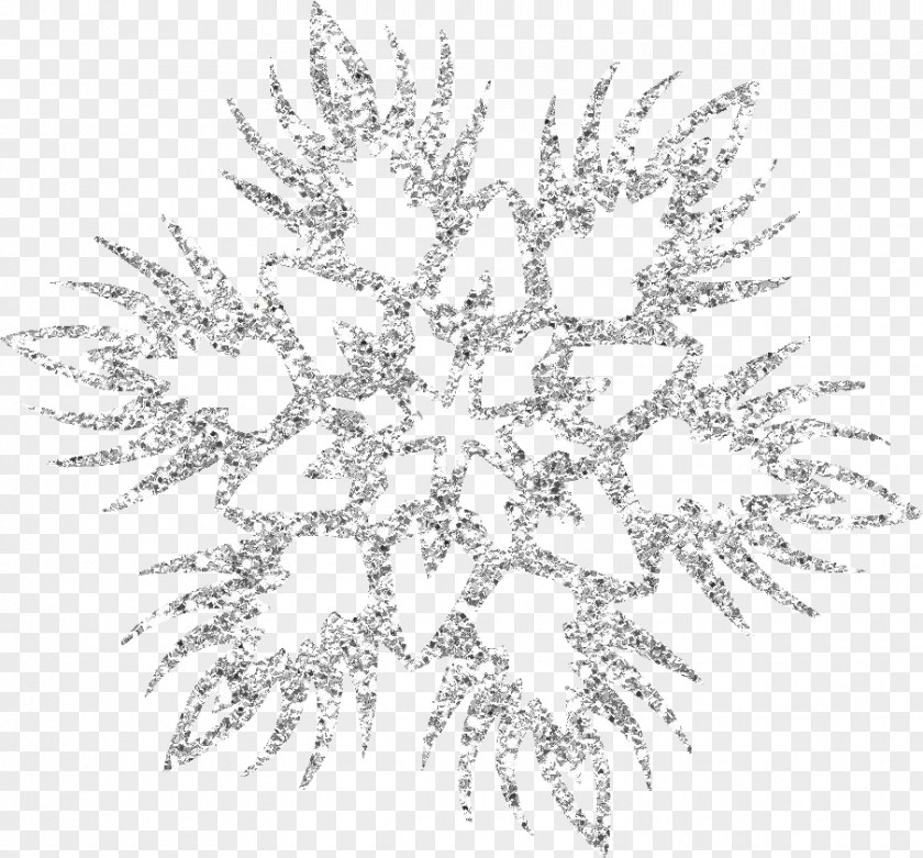 Beautiful Silver Snowflake Schema PNG