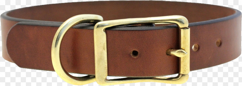 Dog Collar Leather PNG