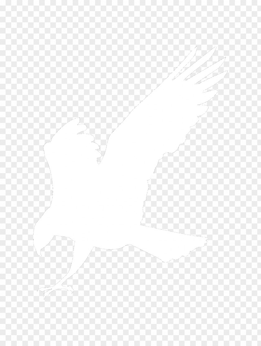 Eagle Logo White Silhouette PNG
