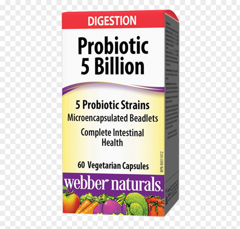 Health Dietary Supplement Probiotic Lactobacillus Acidophilus Gastrointestinal Tract PNG
