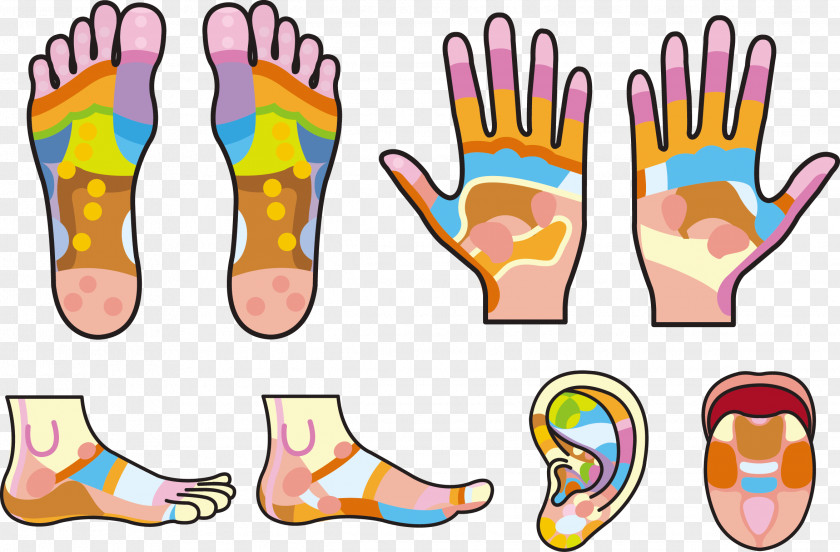 Palms And Soles Footprints Handprints Hand Reflexology Foot PNG