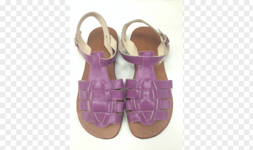 Sandal Shoe PNG