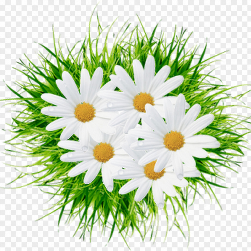 Camomile Serpukhov Пётр и Феврония Day Of Russian Family And Love Flower Painter PNG
