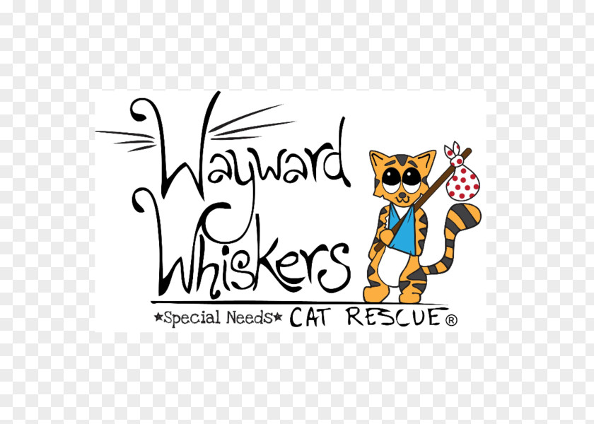 Cat Wayward Whiskers Rescue Feral Kitten PNG