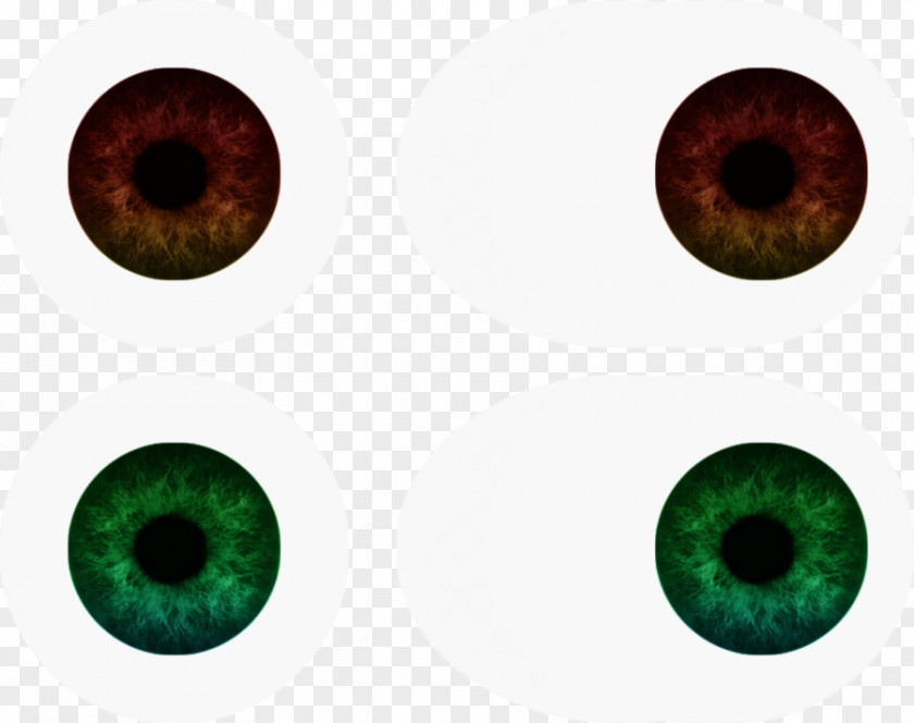 Eye Iris Human Orbit PNG