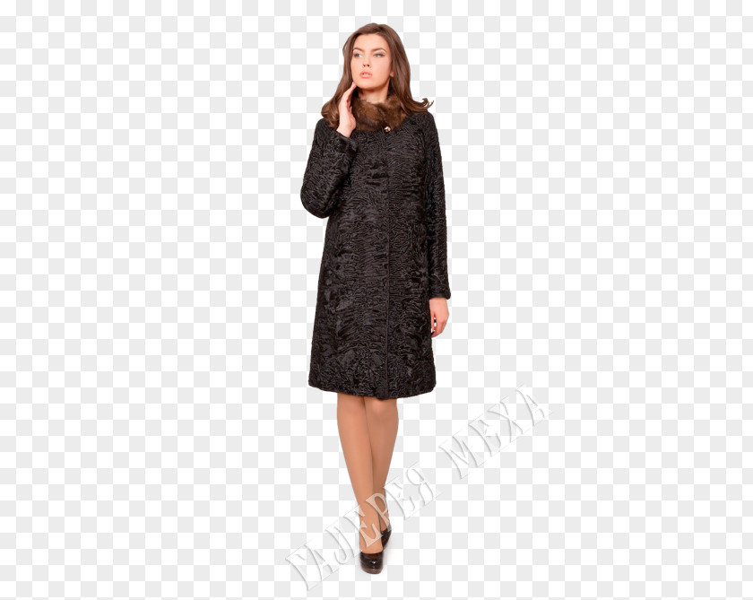 Fur Coat Party Dress Wedding Sleeve Clothing PNG