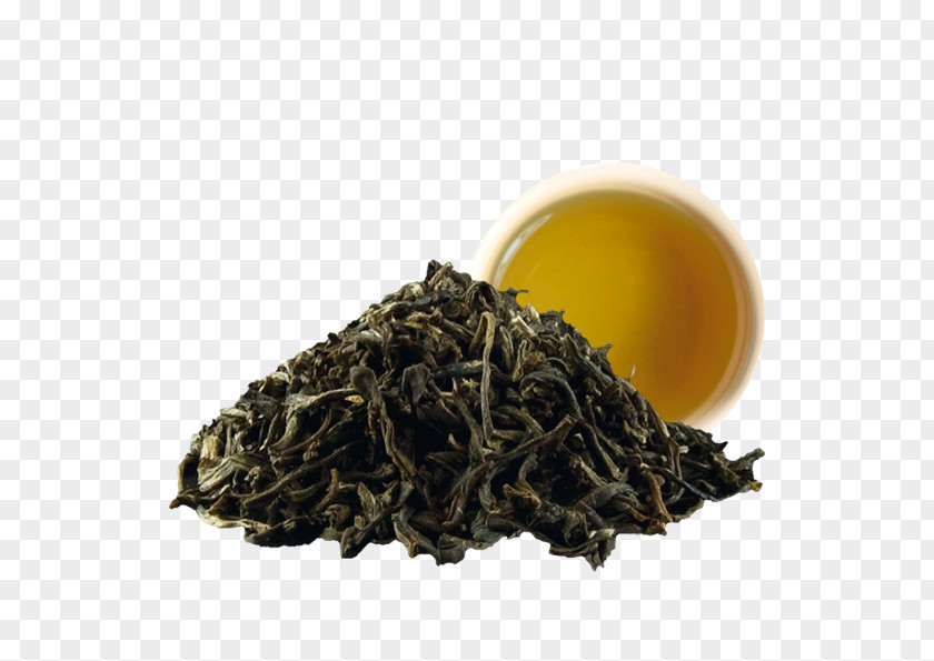 Green Tea Gyokuro Gunpowder Sencha PNG