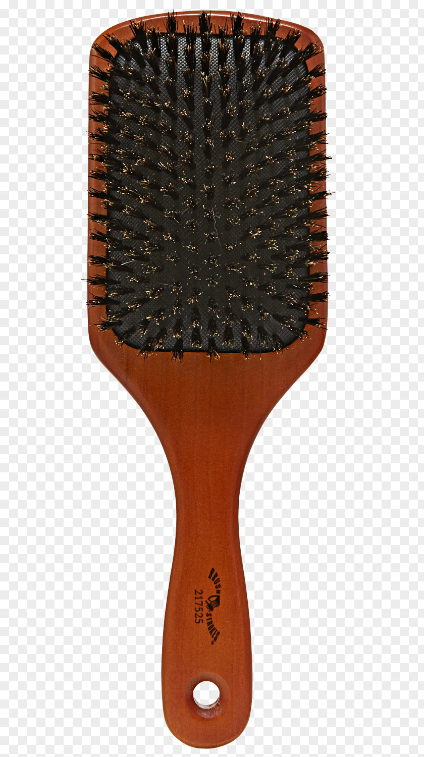 Hair Brush Bristle Wild Boar PNG
