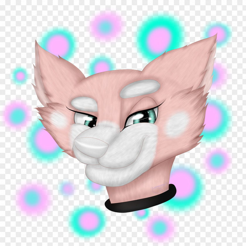 Kitten Whiskers Cheek Art Super Planet Dolan PNG