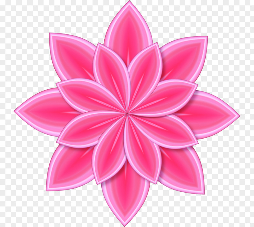 Pink Flower Images Color Pattern PNG