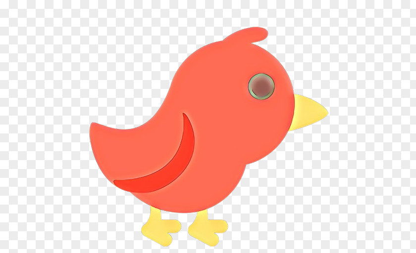 Pink Orange Bird Cartoon PNG