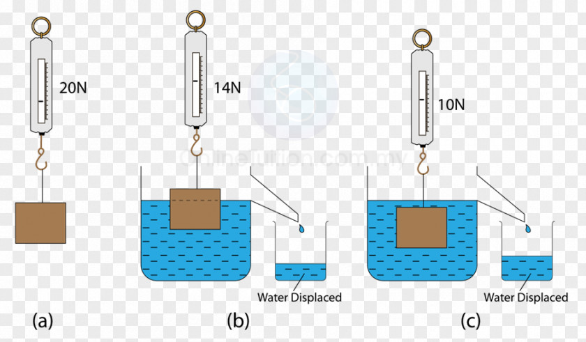 Ppt Sequence Archimedes' Principle Buoyancy Fluid Force Spring Scale PNG