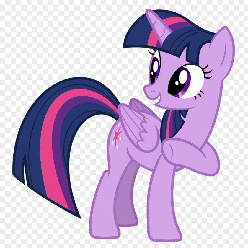 Tuaylayt Twilight Sparkle Pony Princess Celestia Rarity Applejack PNG