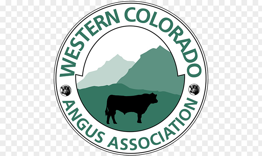 Angus Cattle Business Amazon.com Organization Colorado TEMPLEWORK LA PNG