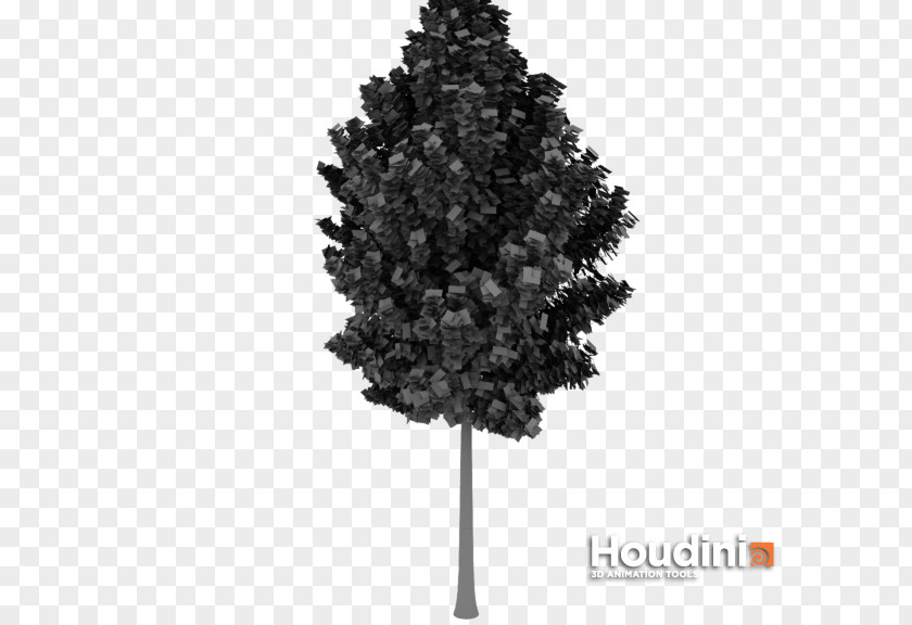 Christmas Tree Spruce Fir Pine PNG