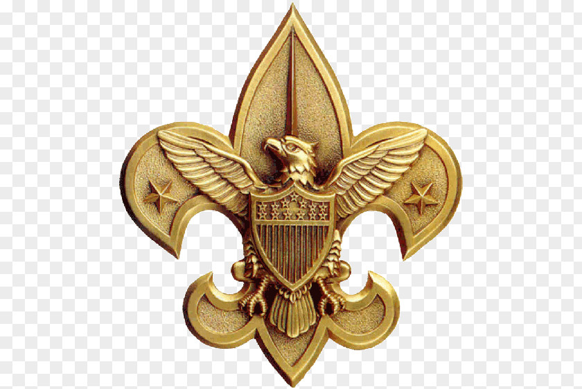 Eagle Scout Service Project Boy Scouts Of America World Emblem Scouting PNG
