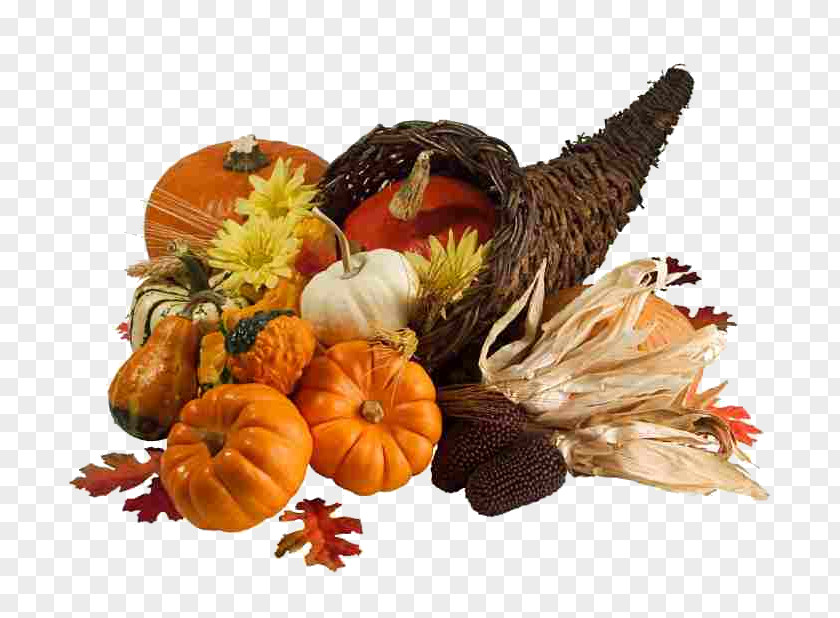 Neuroacupuncture Institute Thanksgiving Day Public Holiday Plymouth PNG
