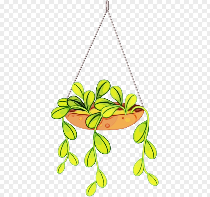 Plant PNG