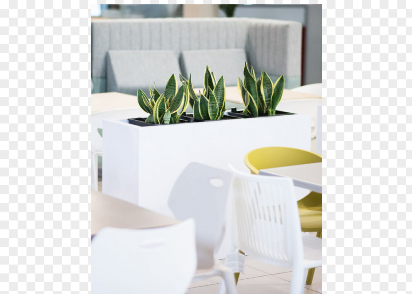 Vase Porcelain Angle Flowerpot PNG