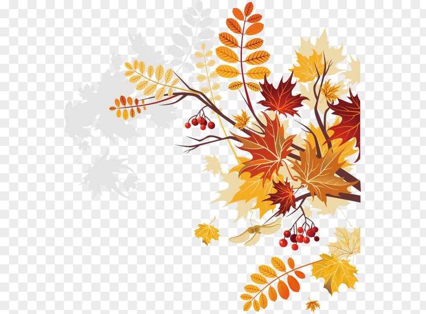 Creative Autumn Plant Vector Material Royalty-free Clip Art PNG