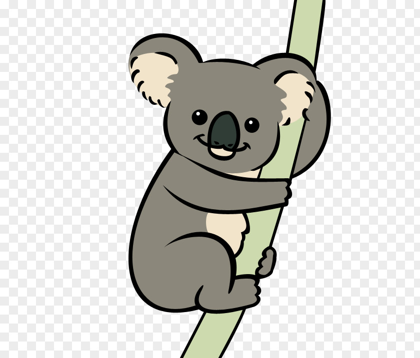 Koala Bear Animation Marsupial Clip Art PNG