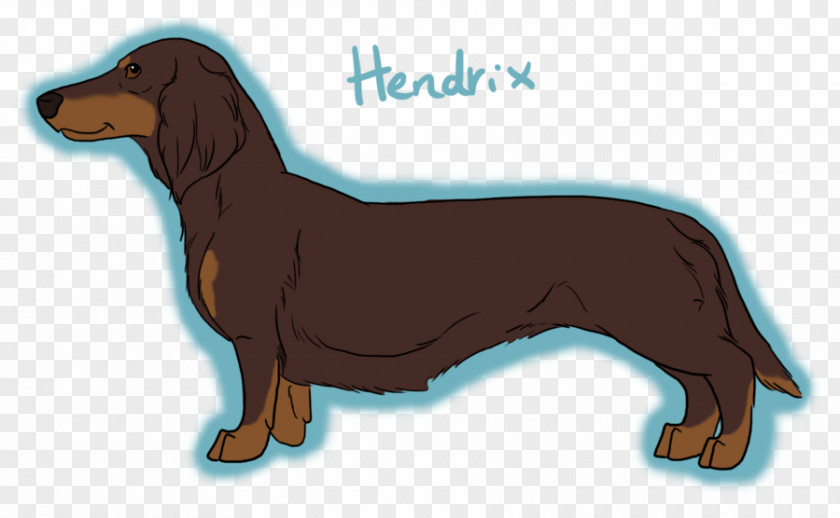 Miniature Long Hair Dachshunds Personality Dachshund Puppy Dog Breed Hound PNG