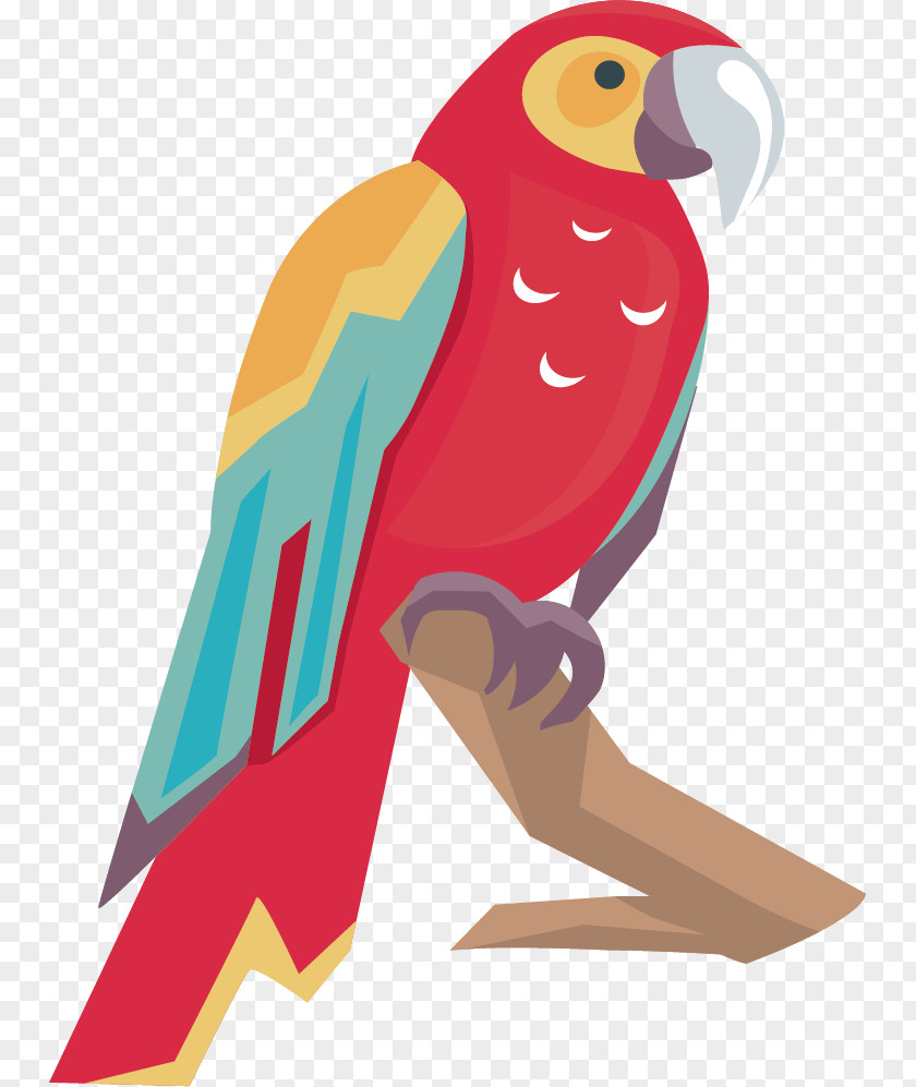 Parrot Lovebird Amazon Macaw PNG