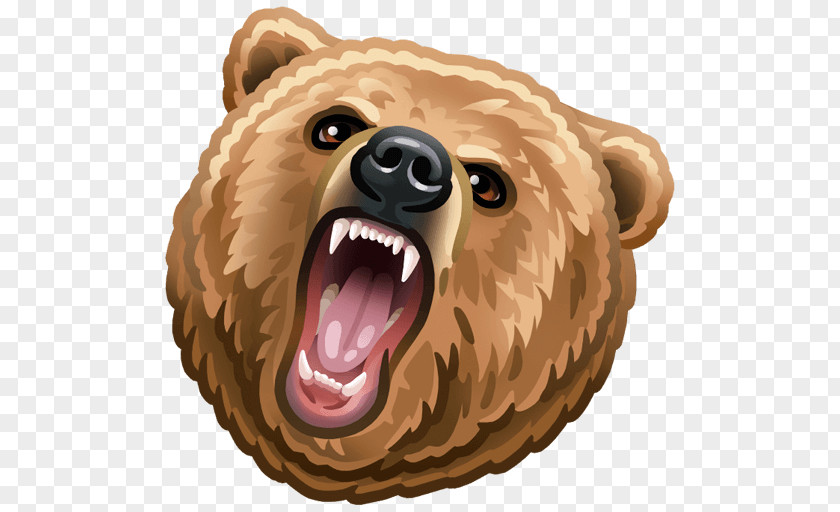 Russia Bear YouTube Information Dog PNG